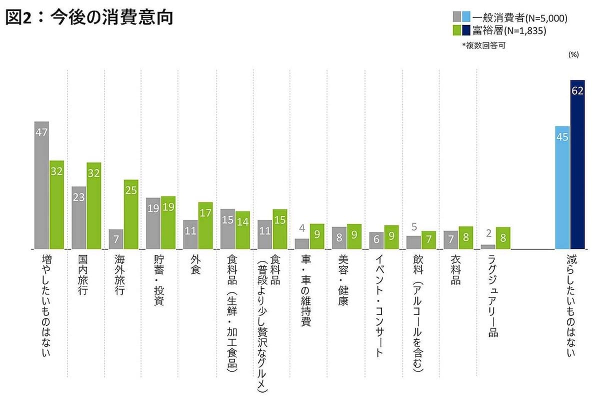 Wealthy Consumer Behavior Survey 2