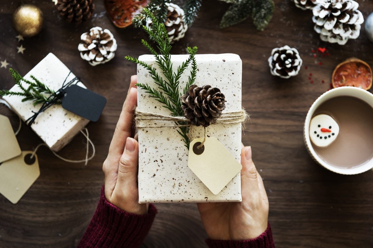 Criteo Holiday Shopper Data